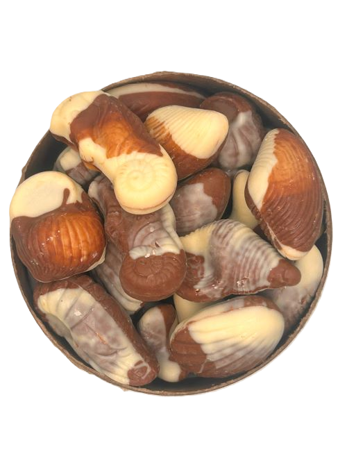 Belgisk Chokolade – Muslingskaller