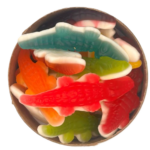 Alligator