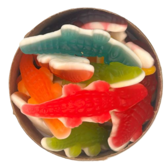 Alligator