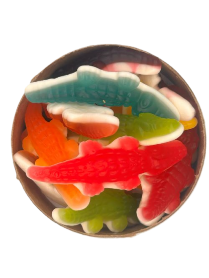 Alligator