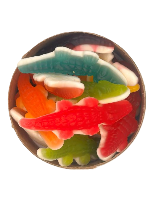 Alligator